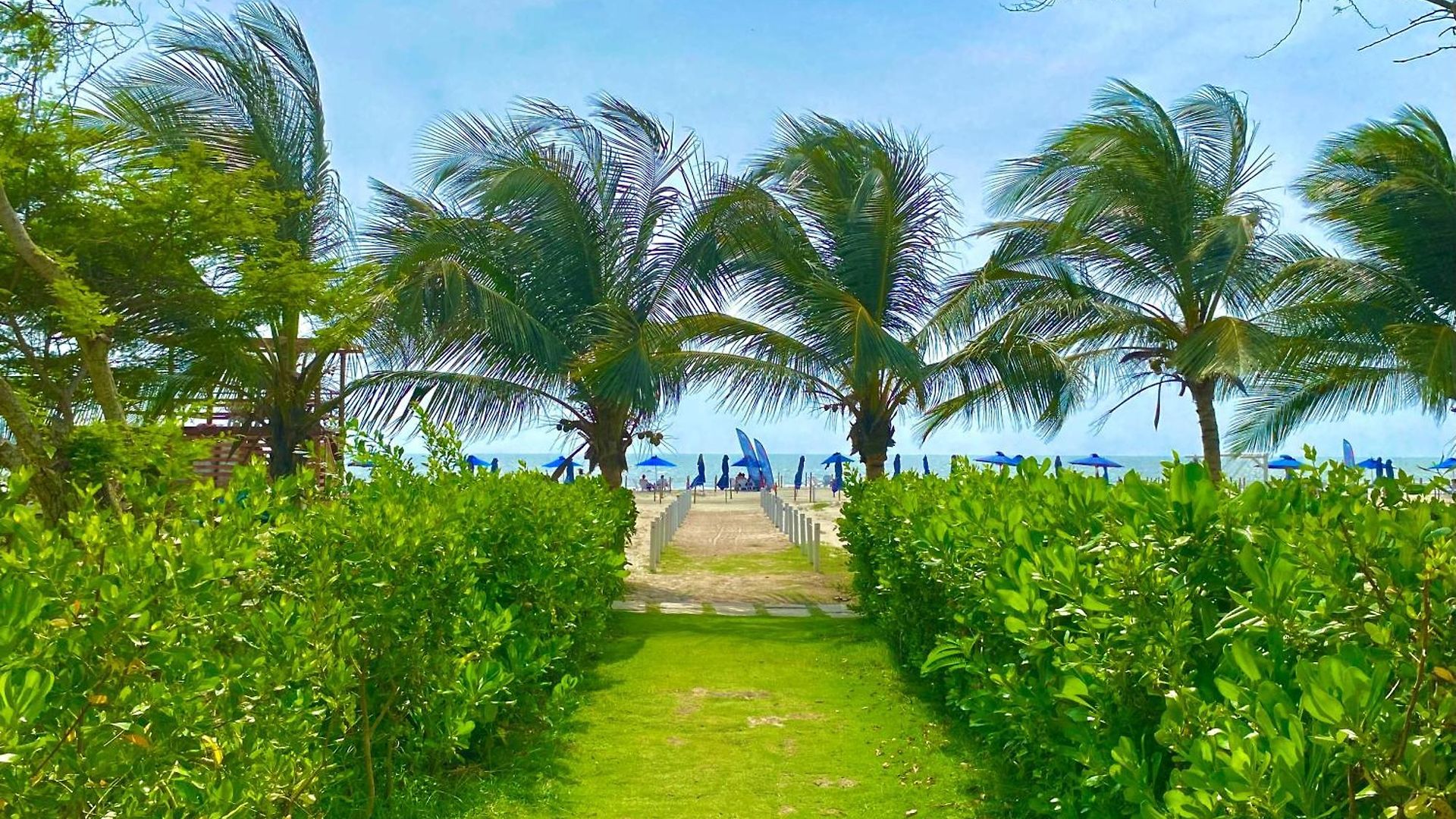 Manzanillo Del Mar - - Morros Zoe *