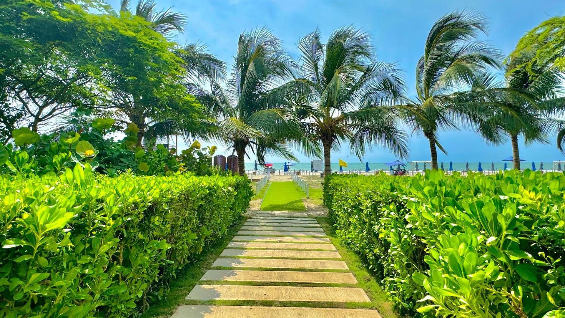 Manzanillo Del Mar - - Morros Zoe