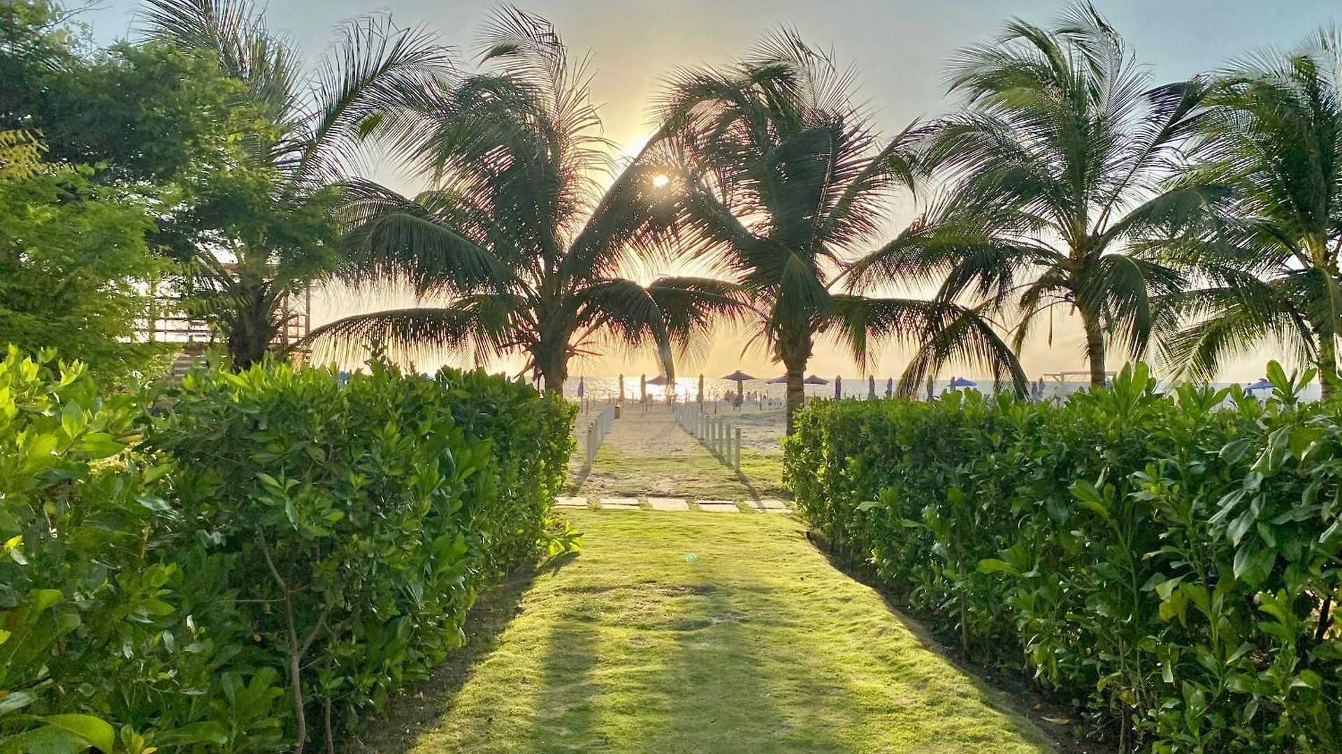 Apartment Manzanillo Del Mar - - Morros Zoe