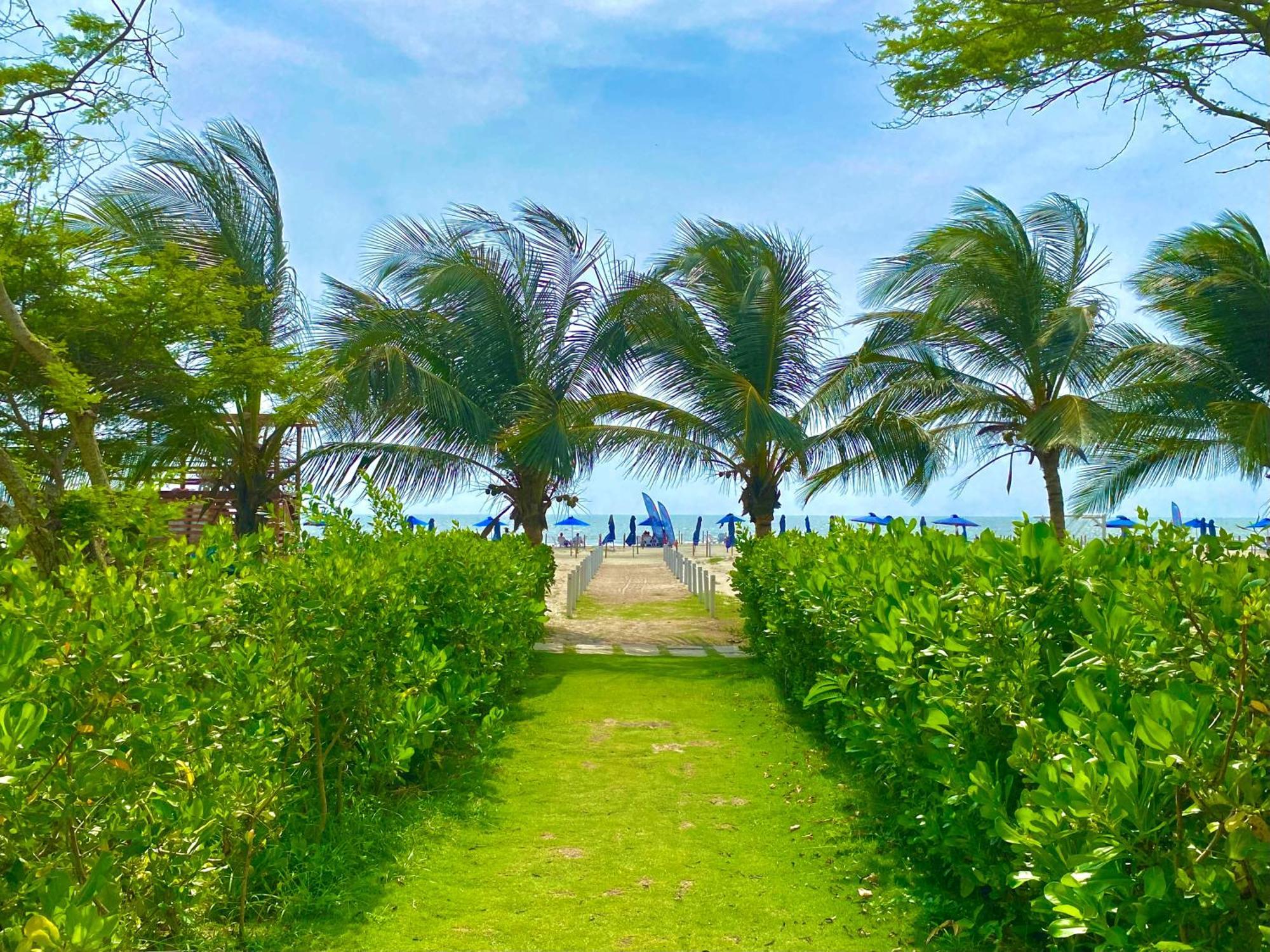 Morros Zoe - Manzanillo Del Mar - *